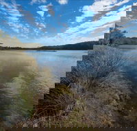 Lake Innes Nature Reserve - Accommodation Main Beach