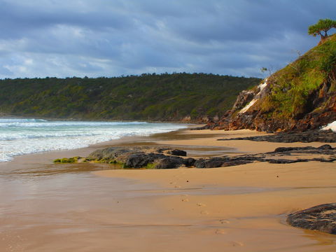 One Man Bluff - Accommodation Main Beach 1