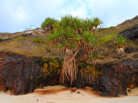 One Man Bluff - Accommodation Main Beach 2