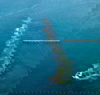 Port Noarlunga Reef Sanctuary Zone - Encounter Marine Park - Accommodation Main Beach