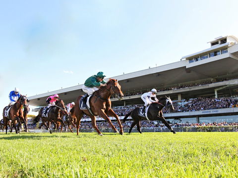 Rosehill Gardens Racecourse - Accommodation Main Beach 0