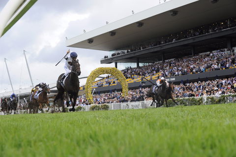 Rosehill Gardens Racecourse - Accommodation Main Beach 1