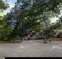 Samford Valley Rail Trail - Accommodation Main Beach