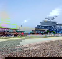Tabcorp Park - Accommodation Main Beach