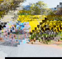 The Heron's Highway - Avon River Cycle Trail - Accommodation Main Beach