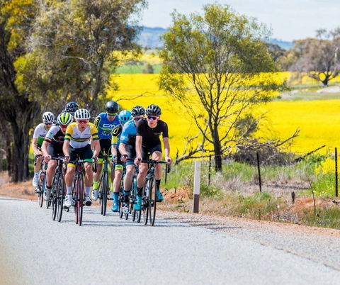 The Heron's Highway - Avon River Cycle Trail - Accommodation Main Beach 0