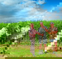 The Shed Gallery - Accommodation Main Beach