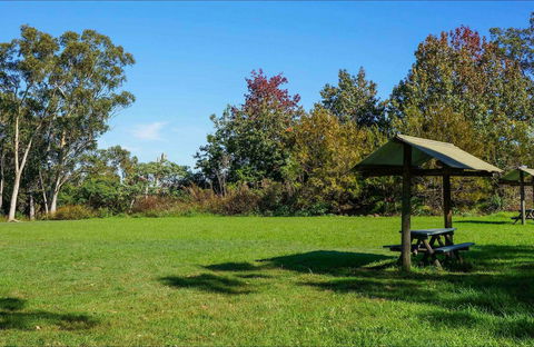 Tunks Hill Picnic Area - Accommodation Main Beach 0