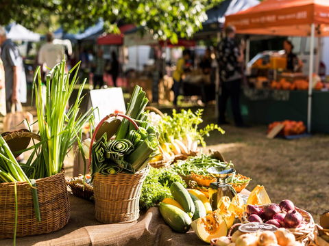 Warragul Farmers Market - Accommodation Main Beach 1