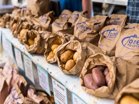 Warragul Farmers Market - Accommodation Main Beach 2