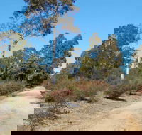 Werakata National Park - Accommodation Main Beach