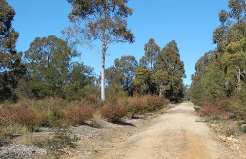 Werakata National Park - Accommodation Main Beach 0