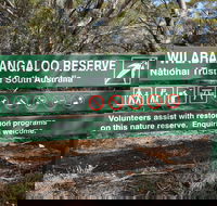 Wilabalangaloo Reserve - Accommodation Main Beach