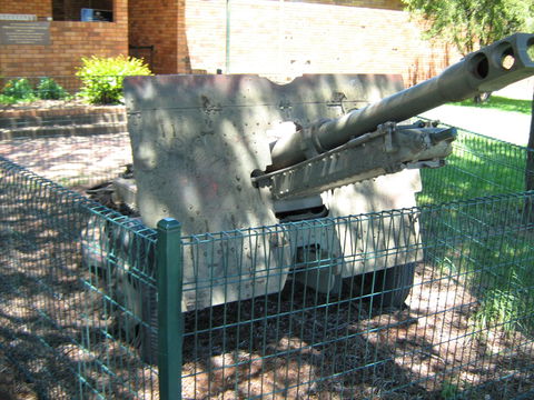 Woodpecker Gun - Accommodation Main Beach 1