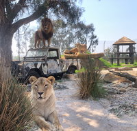 Zambi Wildlife Retreat - Accommodation Main Beach