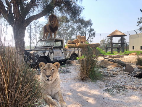 Zambi Wildlife Retreat - Accommodation Main Beach 0