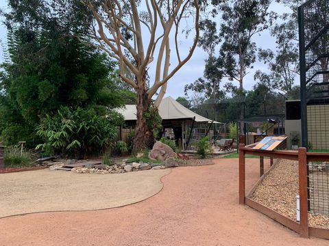 Zambi Wildlife Retreat - Accommodation Main Beach 2