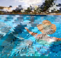 Boulia Sports and Aquatic Centre - Accommodation Main Beach