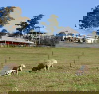 Calmsley Hill City Farm - Accommodation Main Beach