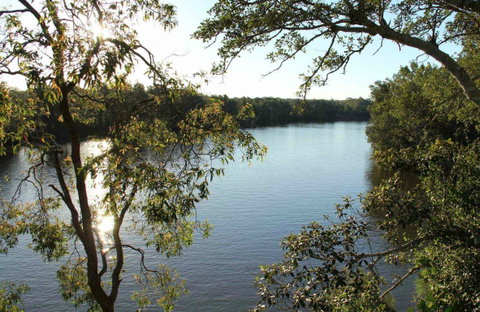 Cattai National Park - Accommodation Main Beach 0