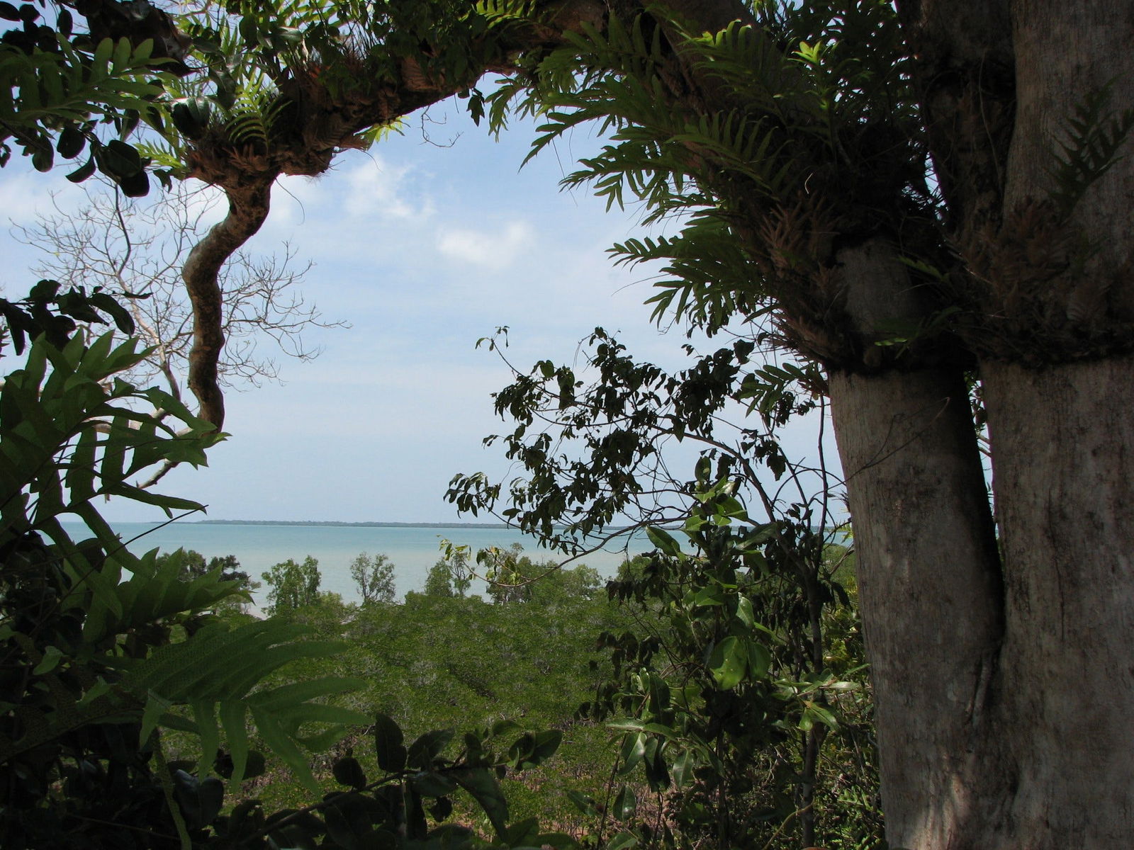 Rakula NT Accommodation Main Beach