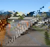 Darkes Forest Riding Ranch - Accommodation Main Beach