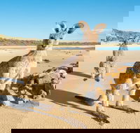 Diamond Head Beach - Accommodation Main Beach