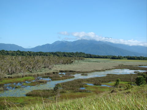 Eubenangee Swamp National Park - Accommodation Main Beach 0