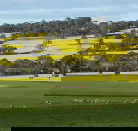 Fini Olives - Accommodation Main Beach