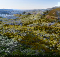 Gold Coast Hinterland Great Walk - Accommodation Main Beach