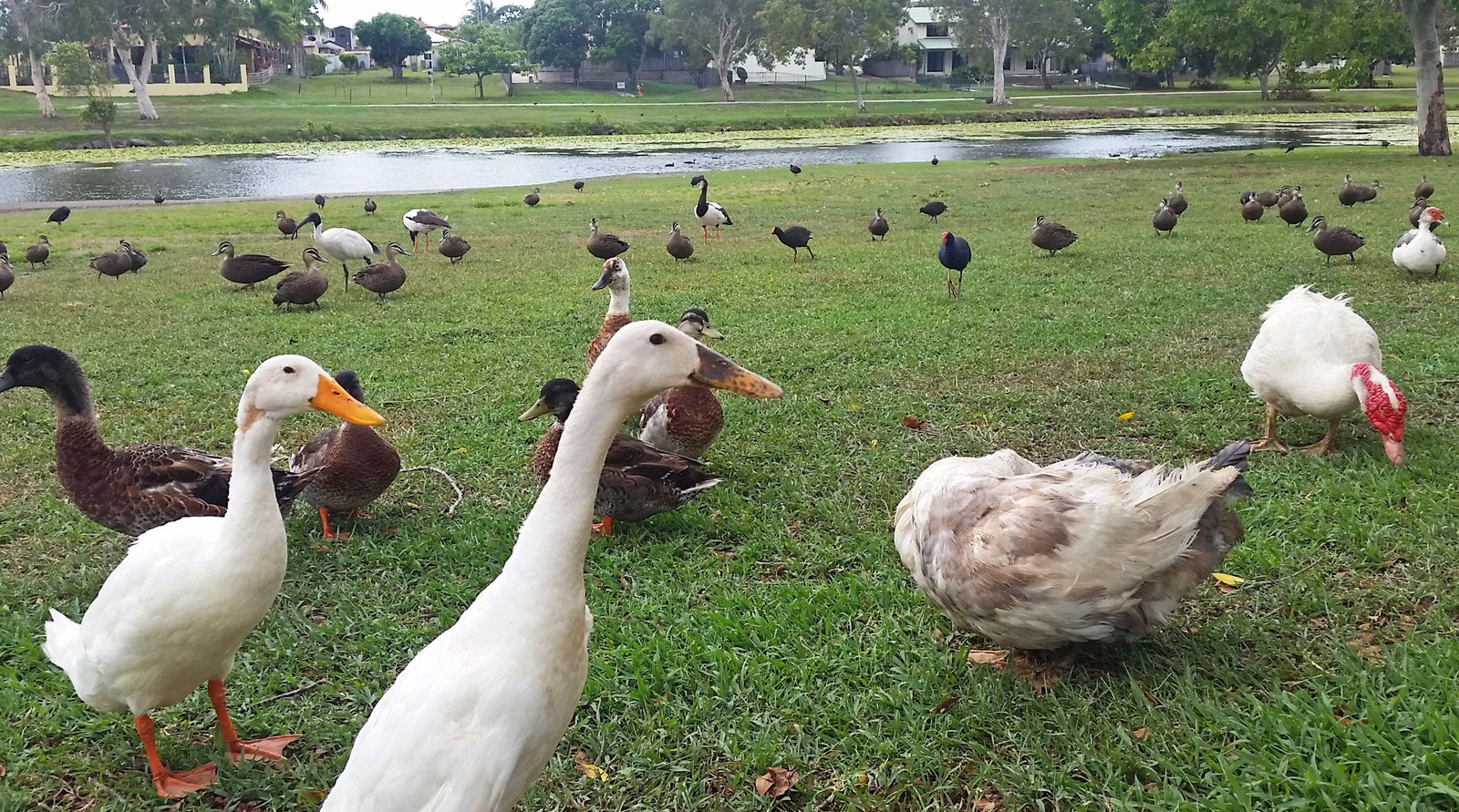  Accommodation Main Beach