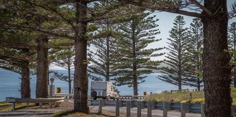 Lady Bay Beach - Accommodation Main Beach 1