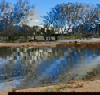 Lake King Wetlands at Rutherglen - Accommodation Main Beach