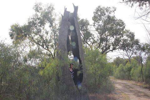 Martin Bend Wetland And Walking Trail - Accommodation Main Beach 1