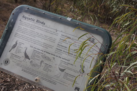 Martin Bend Wetland And Walking Trail - Accommodation Main Beach 2