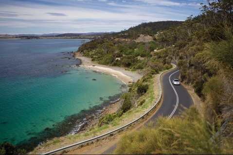 Mayfield Bay Coastal Reserve - Accommodation Main Beach 0