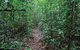 Misty Mountains Wilderness Tracks - thumb 1