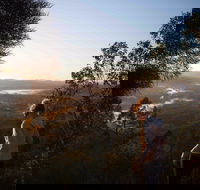 Mount Arthur Reserve - Accommodation Main Beach