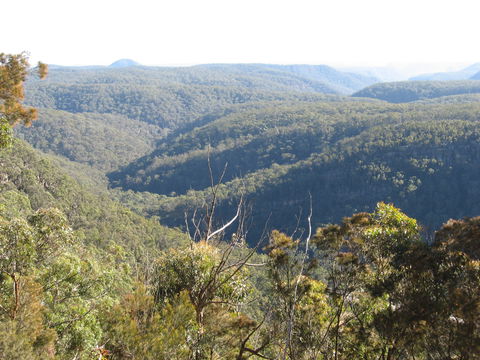 Nattai Gorge Lookout - Accommodation Main Beach 0