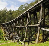 Noojee Trestle Bridge - Accommodation Main Beach