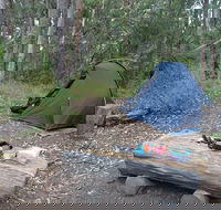 Northbrook Mountain Bush Camp - Accommodation Main Beach