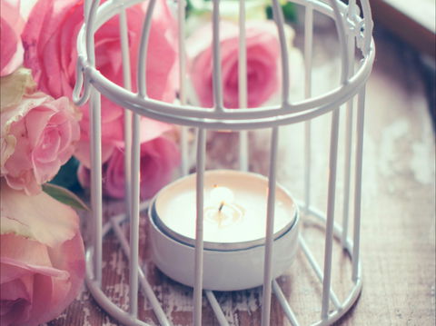 Passionfish Candles - Accommodation Main Beach 1