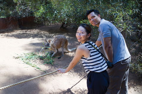 Perth Zoo - Accommodation Main Beach 2