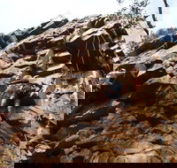 Rock Climbing in Morialta - Accommodation Main Beach