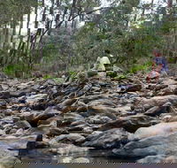 Rocksberg Park Heritage Reserve - Accommodation Main Beach