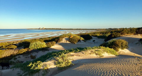Shelly Beach Dune Walk Trail - Accommodation Main Beach 0