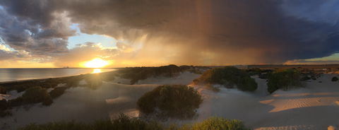 Shelly Beach Dune Walk Trail - Accommodation Main Beach 2