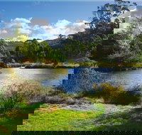 Tasmanian Arboretum Inc. - The - Accommodation Main Beach