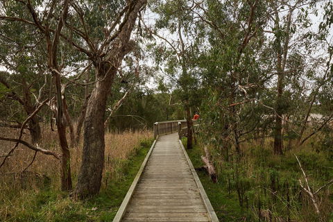 The Briars Park Walking Trails - Accommodation Main Beach 0