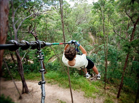 TreeTop Challenge - Accommodation Main Beach 0
